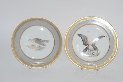 null 
PLATES WITH BIRDS (2)




2nd manufacture of Ixelles, period Ets Demeuldre...