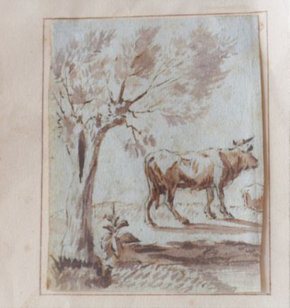 null ANONYME "Vache en pré" dessin à la plume et lavis, 12x9cm, début XIXe