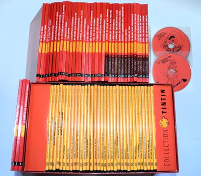 null Collection TINTIN: ensemble comprenant 33 DVD en coffret (+5 sous pochette plastique...