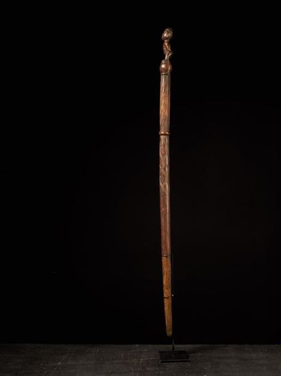 null Canne de prestige Bakongo, 1ere partie du XXeme siècle - Interbellum, 111 cm,...