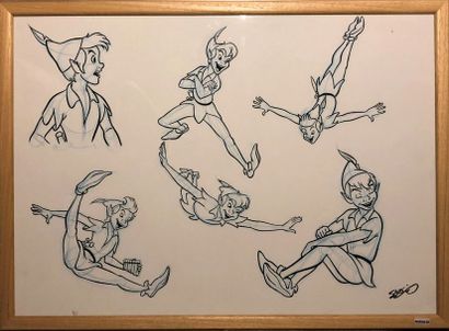 null Studio Disney Europe: rare étude illustrant Peter Pan dans 6 poses différentes....