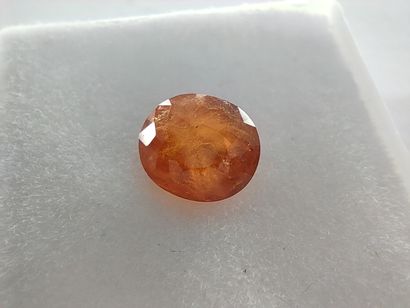 null GRENAT orange spessartite Namibie ovale

Dim : 7mm x 6mm

Poids : 1,66ct