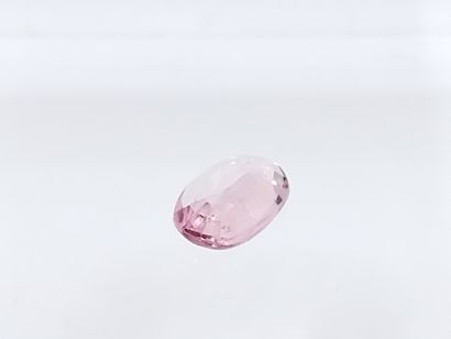 null TOURMALINE pink , ovale , Mozambique , 0,84 carats Dim : 7,3 x 5,2