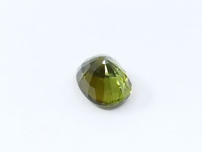 null TOURMALINE green VS , ovale , Mozambique , 1,59 carats Dim : 7,8 X 6