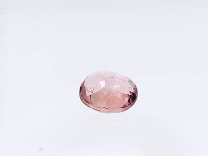 null TOURMALINE pink , ovale , Mozambique , 0,92 carats Dim : 6,7 x 5,5