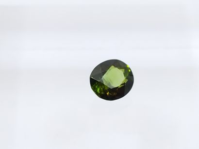 null TOURMALINE green VVS , ovale , Mozambique , 1,84 carats Dim : 8 x 7