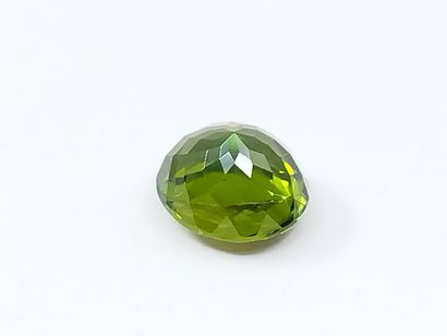 null TOURMALINE green , ovale , Mozambique , 1,78 carats Dim : 7,7 x 7