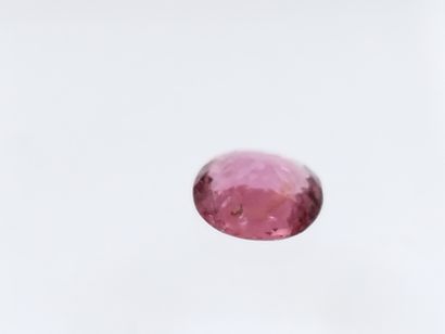 null TOURMALINE pink , ovale , Mozambique , 1,15 carats Dim : 7 x 6,3