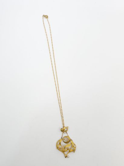 CHAIN in yellow gold 750° with a plant pendant...