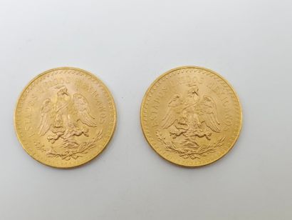 LOT OF TWO 50 pesos gold coins
weight : 83,41...