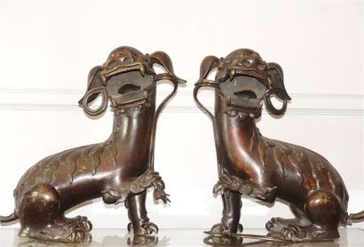 null CHINE - XVIIIe-XIXe siècles.
Paire de lions en bronze à patine brune, assis,...