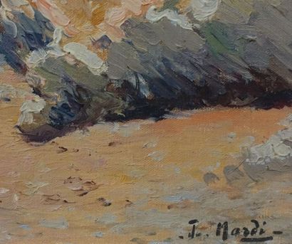 null François NARDI (1861-1936). 
 Coast.
Oil on canvas, signed lower right.
Top....