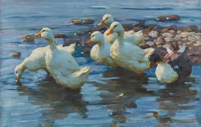  Alexander KOESTER (1864-1932). White ducks. Oil on canvas, signed lower middle right....