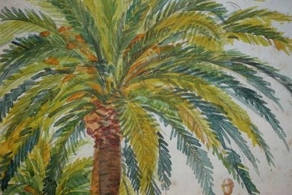 null Tony MINARTZ (1870-1944). 
 View of a park with a large palm tree, Nice.
Watercolour,...