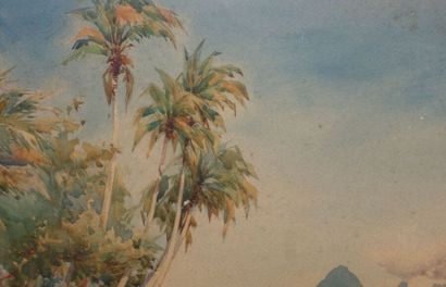 null William Alister MACDONALD (1861-1948).
Tahiti, Moorea.
Aquarelle, signée et...
