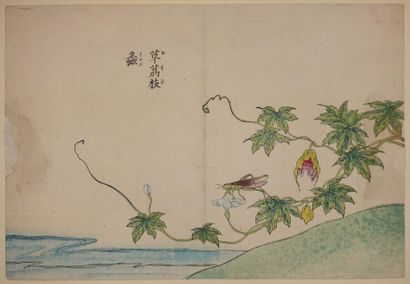 null Set of five pages of oban yoko-e album representing birds and flowers. Meiji...