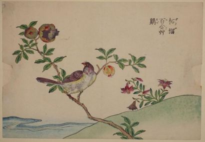 null Set of five pages of oban yoko-e album representing birds and flowers. Meiji...