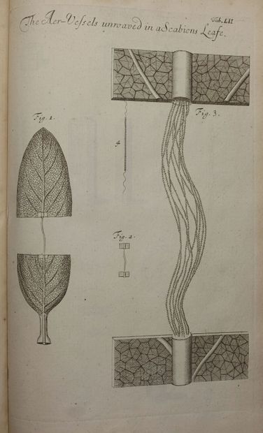 null GREW Nehemiah. The anatomy of plants. With an idea of a philosophical history...