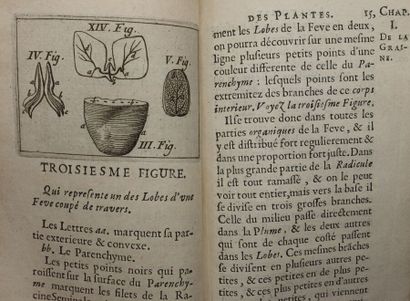 null GREW Nehemiah. Anatomie des plantes traduite de l'anglais. Paris, Lambert Roulland,...