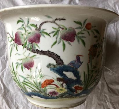 null CHINE, XIXe siècle 
Cache-pot en porcelaine à décor d'oiseaux branchés, pivoines...