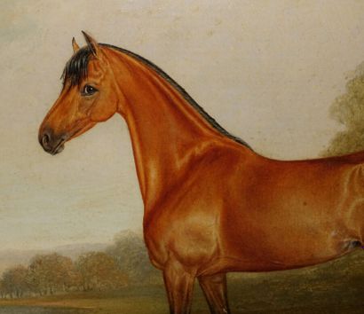 null Attribué à John Frederic HERRING (1795-1865)

Portrait d'un pur-sang

Milboard

Haut....
