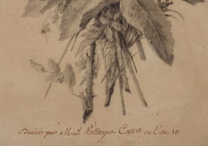  Anne VALLAYER-COSTER (1744-1818). 
Jeté de fleurs. 
Fusain, inscription ancienne...