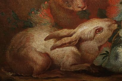 null Angelo Maria CRIVELLI dit CRIVELLONE (actif à Milan, mort en 1730).

Paon, lapins...