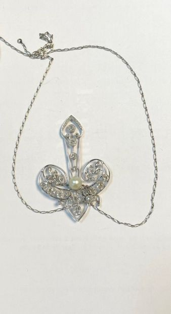 null Articulated necklace in platinum 850 thousandth holding in *pendentif a motif...