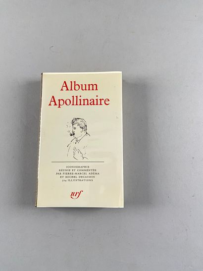ALBUMS DE LA PLÉIADE. Réunion de 36 ouvrages...