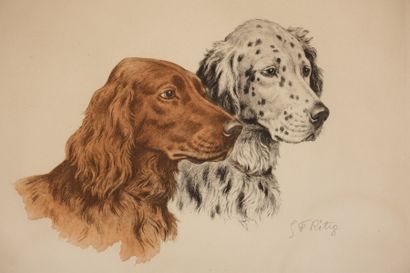 null Georges-Frédéric RÖTIG (1873-1961).

Étude de têtes de chiens.

Lithographie,...