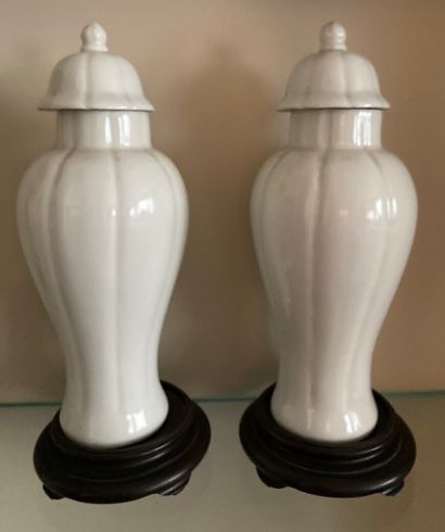 CHINE. 
Deux vases couverts en porcelaine...