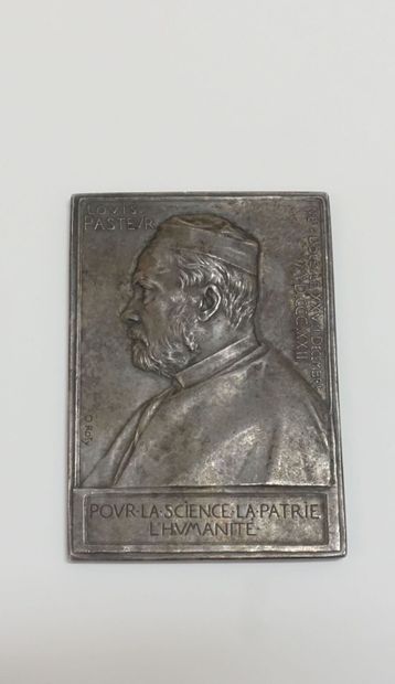null Cinq plaquettes commémoratives en bronze :

- Hippolyte-Adolphe TAINE par O....