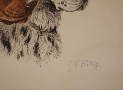 null Georges-Frédéric RÖTIG (1873-1961).

Étude de têtes de chiens.

Lithographie,...
