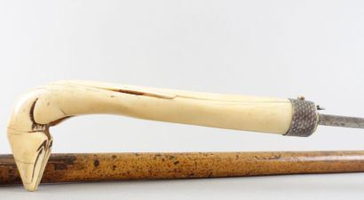 null Canne épée en bois, le pommeau (crosse) à motif d'un sabot en ivoire.

XIXe...
