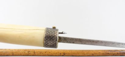null Canne épée en bois, le pommeau (crosse) à motif d'un sabot en ivoire.

XIXe...