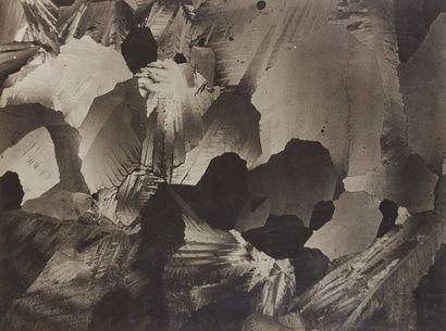 null Laure ALBIN-GUILLOT (1879-1962)

Micrographie [strates], c. 1930



Épreuve...