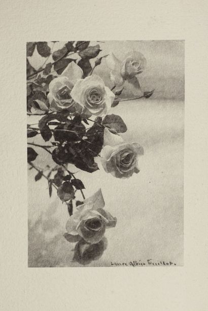 null Laure ALBIN-GUILLOT (1879-1962)

Rose, c. 1930



Épreuve argentique d'époque...