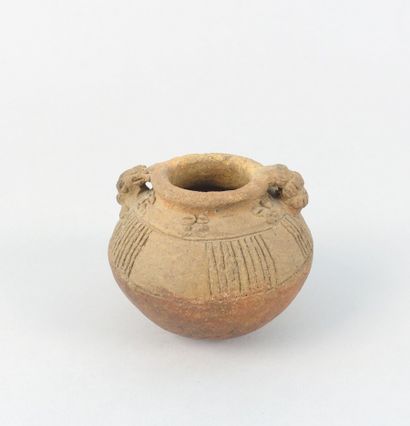 null Globular vase with two handles

Brown terracotta

Applied Potosi style, Guanacaste...