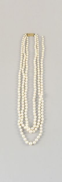 null Collier trois rangs de perles de culture en chute, le fermoir en or jaune 750...