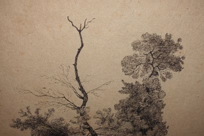null Henri HARPIGNIES (Valenciennes 1819-Saint-Privé 1916)

Étude d'arbres

Plume...