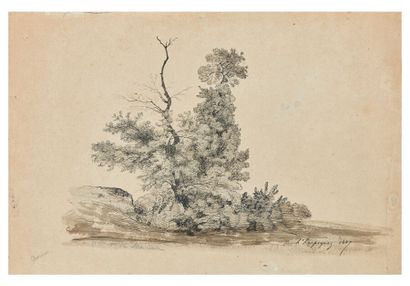 null Henri HARPIGNIES (Valenciennes 1819-Saint-Privé 1916)

Étude d'arbres

Plume...