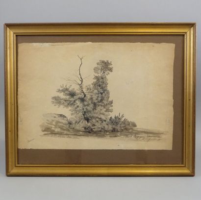  Henri HARPIGNIES (Valenciennes 1819-Saint-Privé 1916) 
Étude d'arbres 
Plume et...