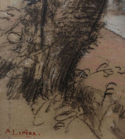  Auguste LEPÈRE (1849-1918) 
Paysage de Provence 
Pastel et fusain, signé en bas...