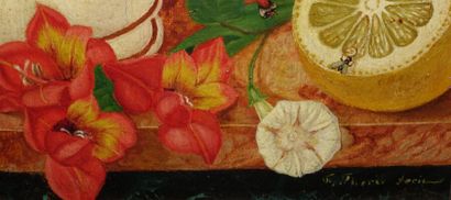 null Natures mortes aux fleurs, fruits, papillons et insectes

Paire de toiles, XIXe...