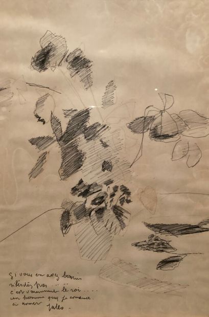 null Jules CAVAILLÈS (1901-1977)

Étude de fleurs

Dessin au feutre noir, signé en...