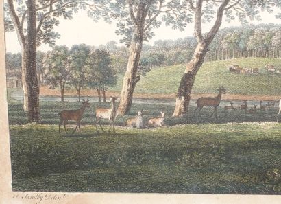 null F. SANDBY

Two lithographs :

- View from the North side of the Virginia River,...