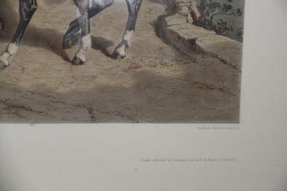 null Ach. Giroux et Sabatier. Chevaux et chien.

Lithographie.

Haut. : 45 cm ; Larg....