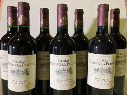 null BORDEAUX.

Château Cambon la Pelouse.

Cru Bourgeois - Haut-Médoc 2015.

7 bouteilles.

(Très...