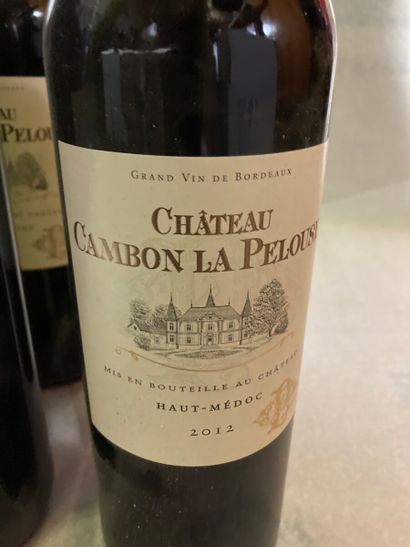 null BORDEAUX.

Château Cambon La Pelouse.

Haut-Médoc 2012.

14 bouteilles.