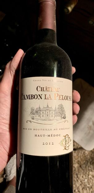 null BORDEAUX.

Château Cambon La Pelouse.

Haut-Médoc 2012.

14 bouteilles.